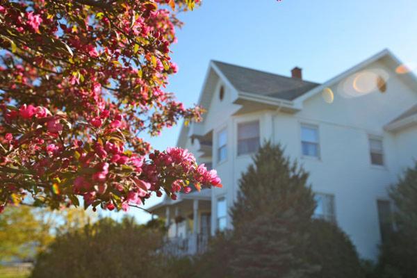 Twin Peaks B&B Mindemoya Eksteriør bilde